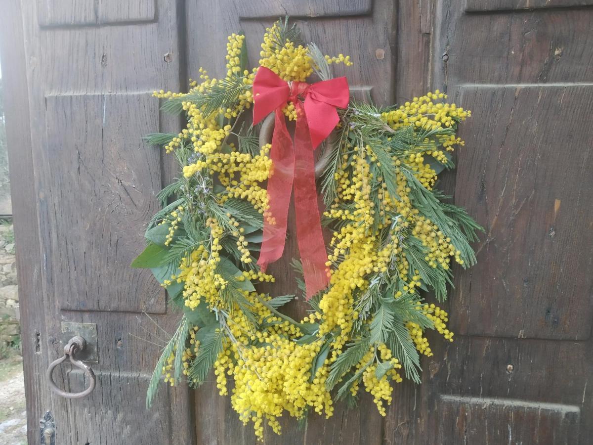 Apartamento Felicitas En La Casa De Cobos, Ribeira Sacra Побра-До-Брольон Экстерьер фото