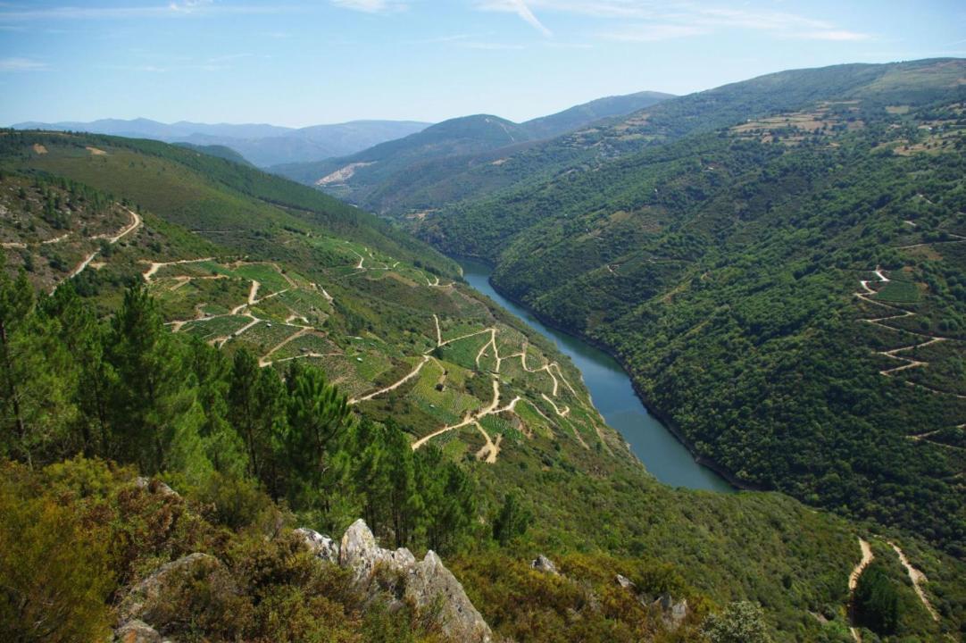 Apartamento Felicitas En La Casa De Cobos, Ribeira Sacra Побра-До-Брольон Экстерьер фото